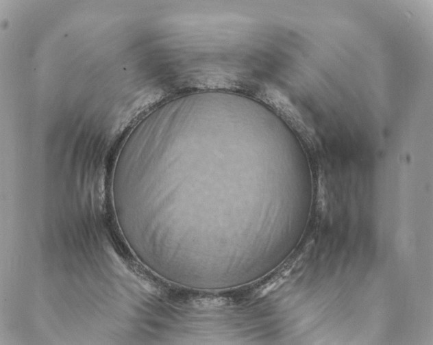 X0000089370202200707061122