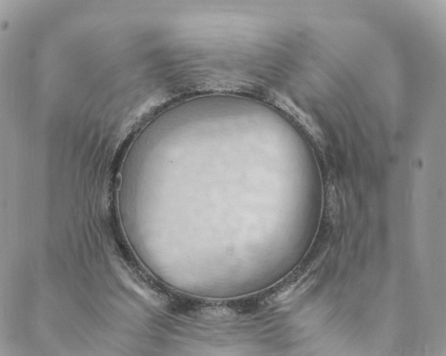 X0000089370203200707061122