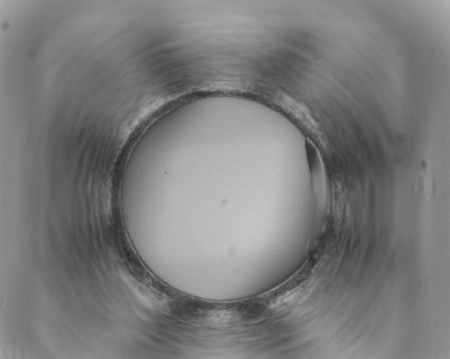 X0000089370204200707061122