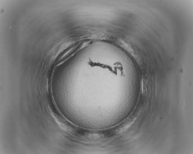 X0000089370205200707061122