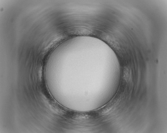 X0000089370206200707061122