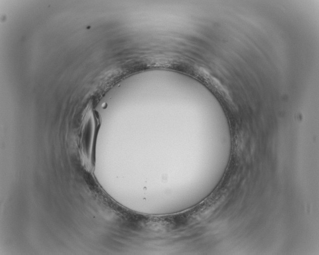 X0000089370209200707061122