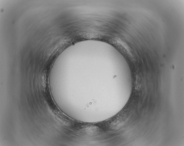 X0000089370210200707061122