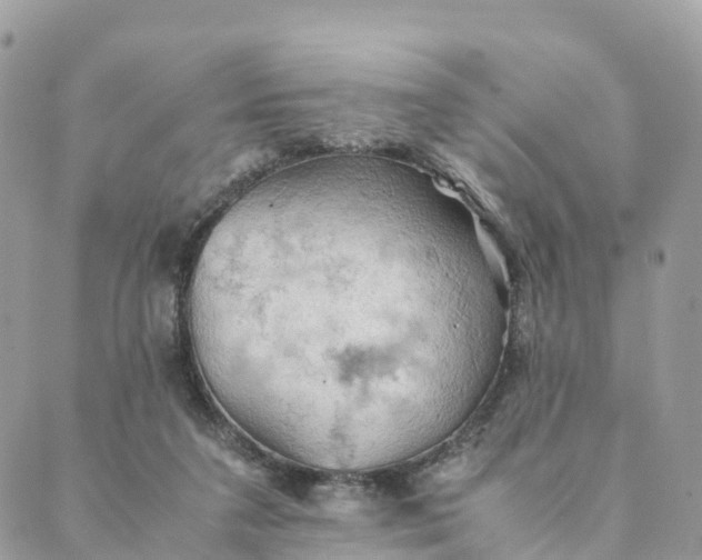 X0000089370211200707061122