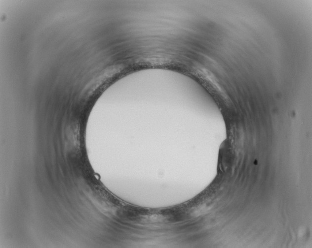 X0000089370212200707061122