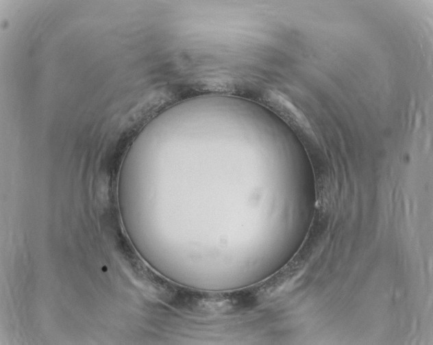 X0000089370213200707061122