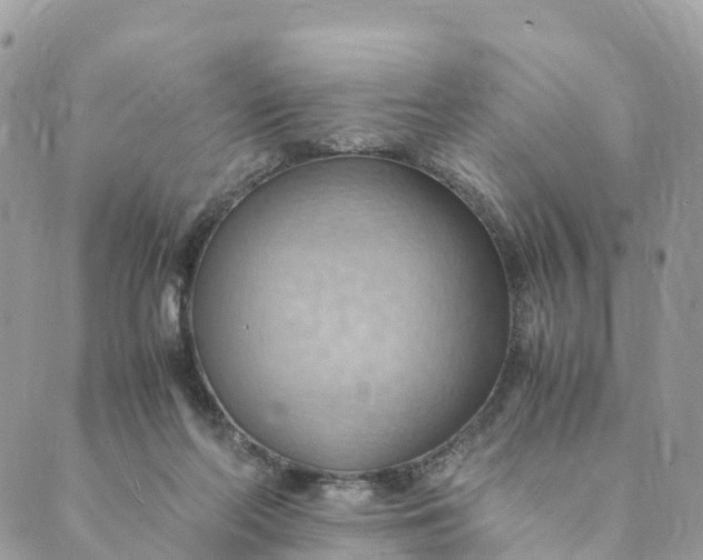 X0000089370214200707061122