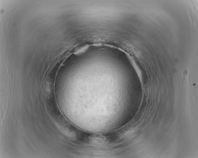 X0000089370215200707061122