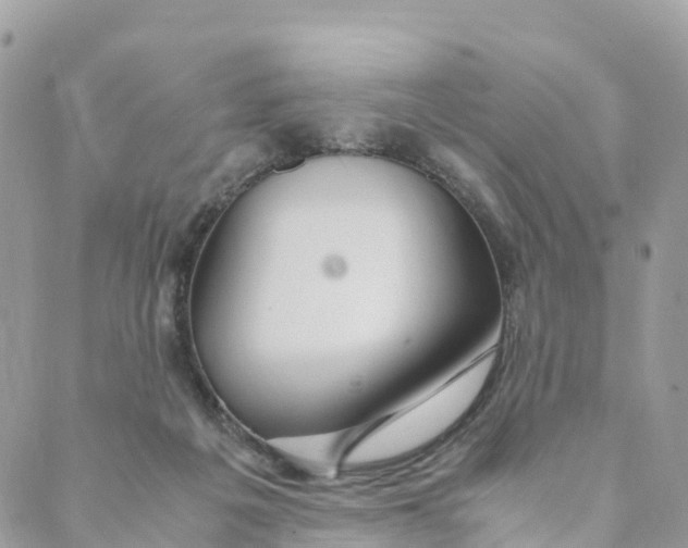 X0000089370217200707061122