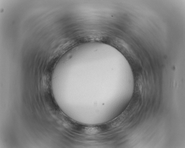 X0000089370218200707061122