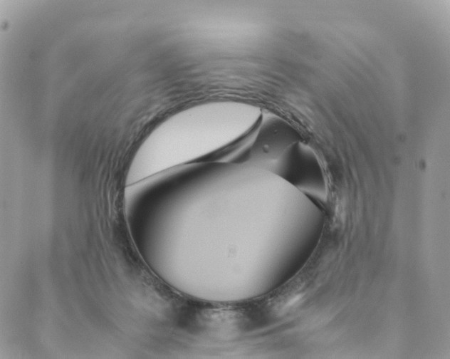 X0000089370219200707061122