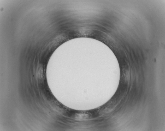 X0000089370220200707061122