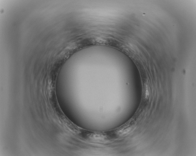 X0000089370223200707061122