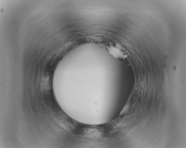 X0000089370224200707061122