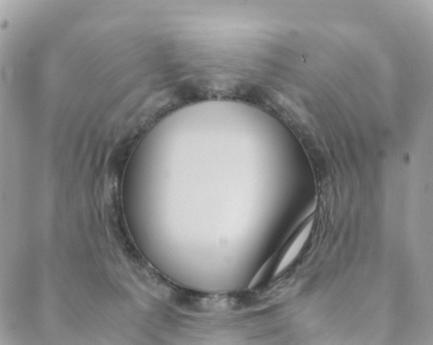 X0000089370225200707061122