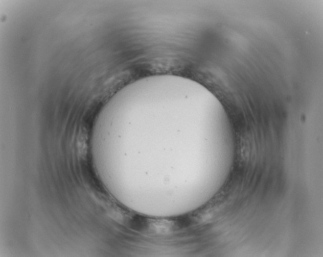 X0000089370226200707061122