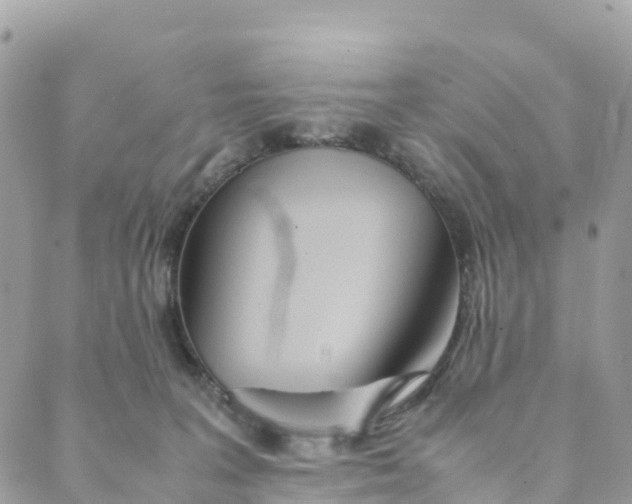 X0000089370227200707061122