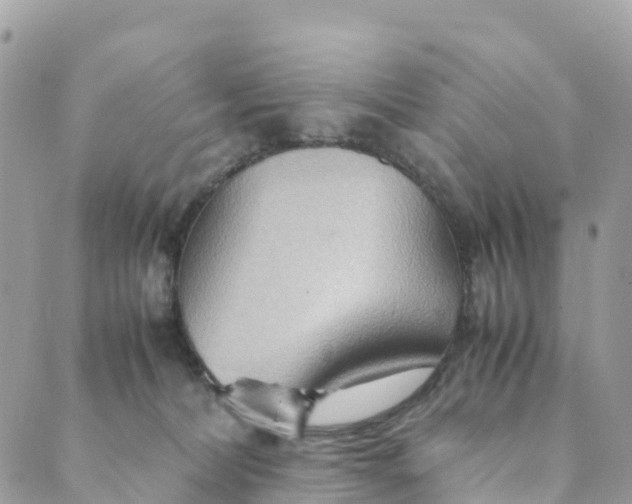 X0000089370228200707061122