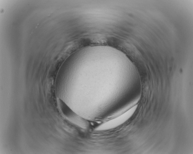 X0000089370229200707061122