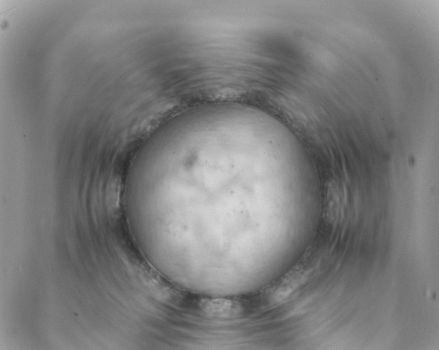 X0000089370230200707061122