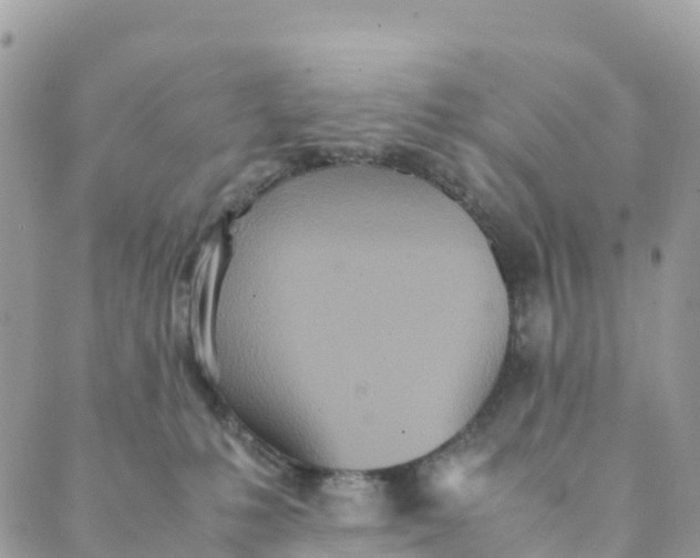 X0000089370231200707061122