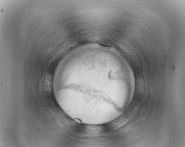 X0000089370234200707061122