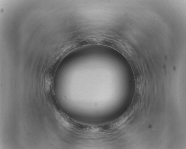 X0000089370235200707061122