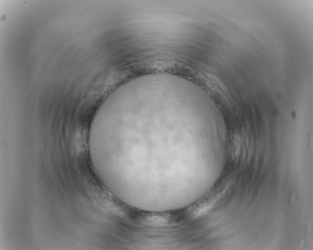 X0000089370236200707061122