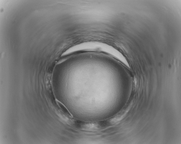 X0000089370237200707061122