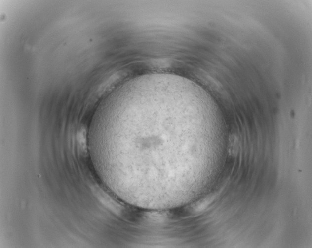 X0000089370238200707061122