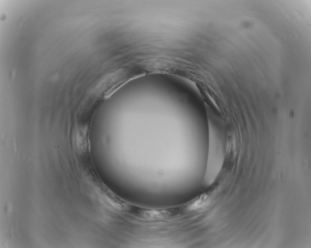 X0000089370239200707061122