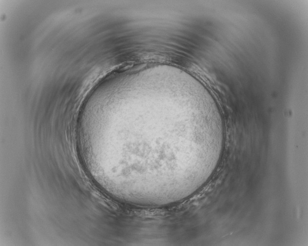 X0000089370241200707061121