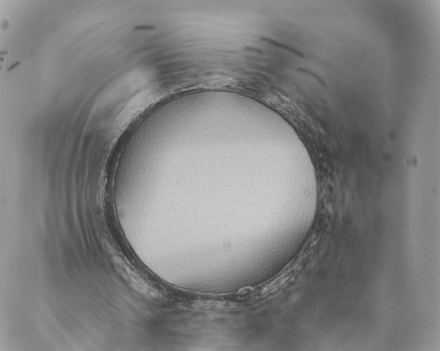 X0000089370242200707061121