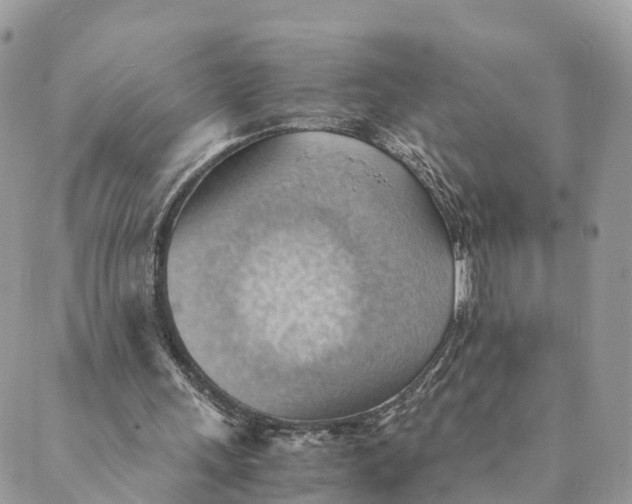 X0000089370243200707061121