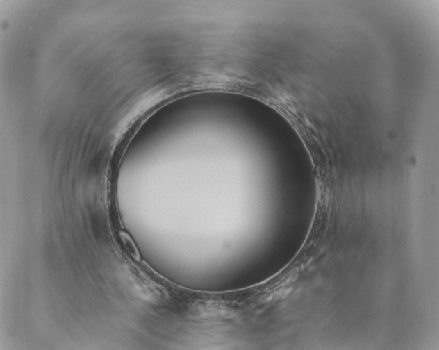 X0000089370244200707061121