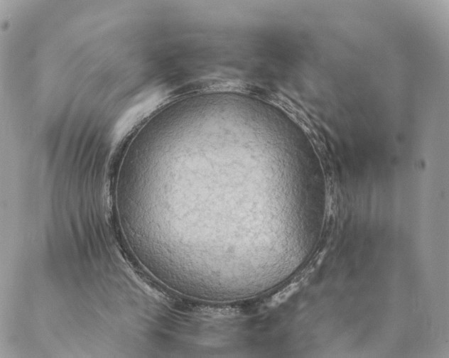 X0000089370245200707061121