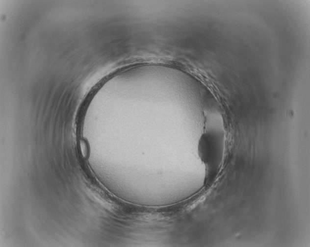 X0000089370246200707061121