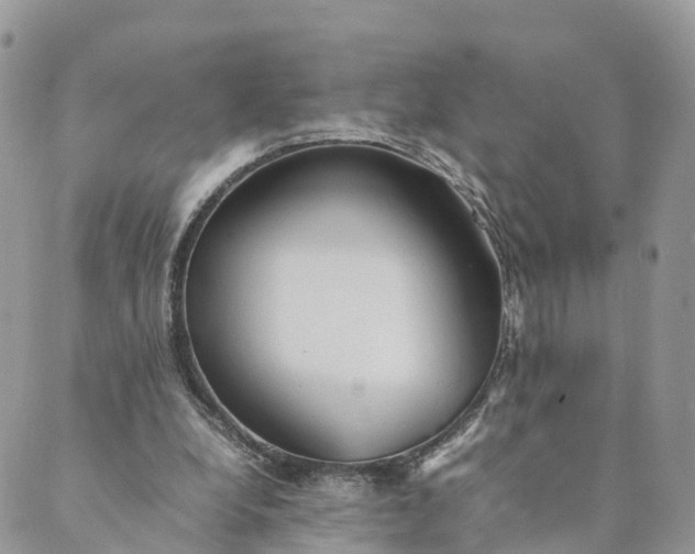 X0000089370248200707061121