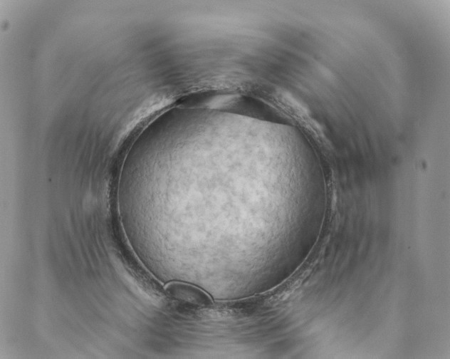 X0000089370250200707061121