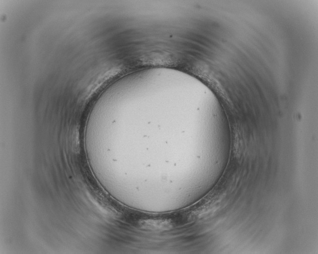 X0000089370251200707061121