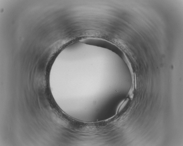 X0000089370252200707061121