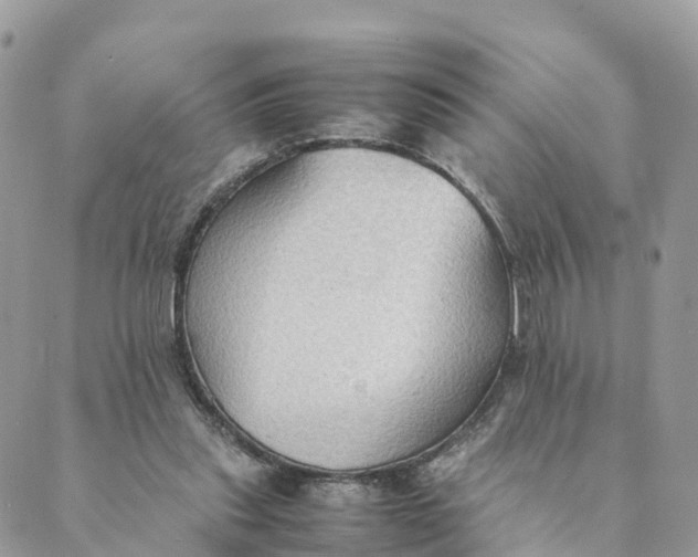 X0000089370253200707061121