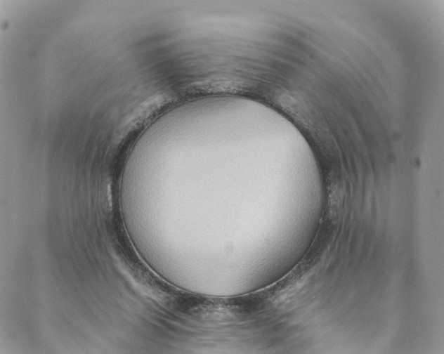 X0000089370254200707061121