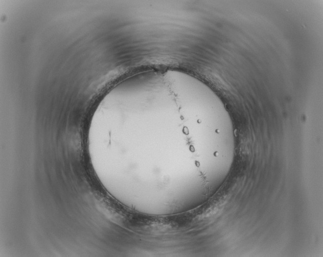 X0000089370256200707061121