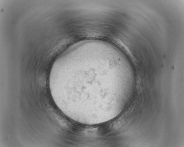 X0000089370257200707061121