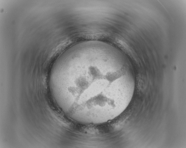 X0000089370258200707061121