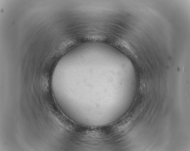 X0000089370259200707061121