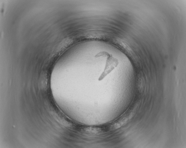 X0000089370261200707061121