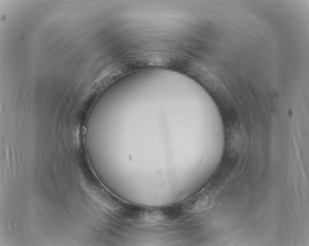 X0000089370262200707061121