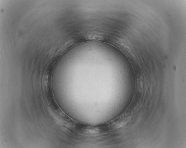 X0000089370263200707061121